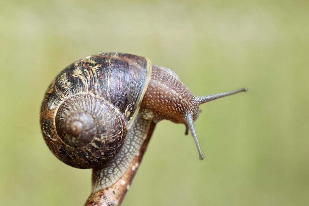 Verbeter je luchtkwaliteit met de nieuwste sensortechnologie