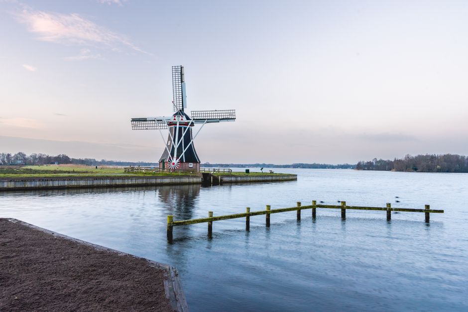 Blauw gordijn contrasteert met herfstkleur pallet. Blauw gordijn contrasteert met herfstkleur pallet.