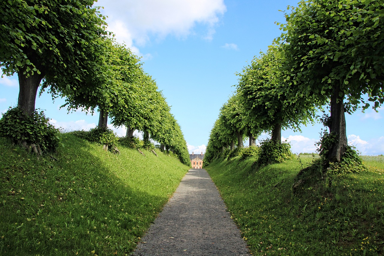 Kruidenplanten groeien op keukenmuur. Kruidenplanten groeien op keukenmuur.
