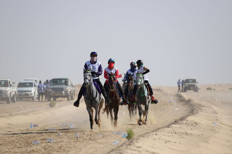 Paarden races als muurthema: snelheid en elegantie in je interieur
